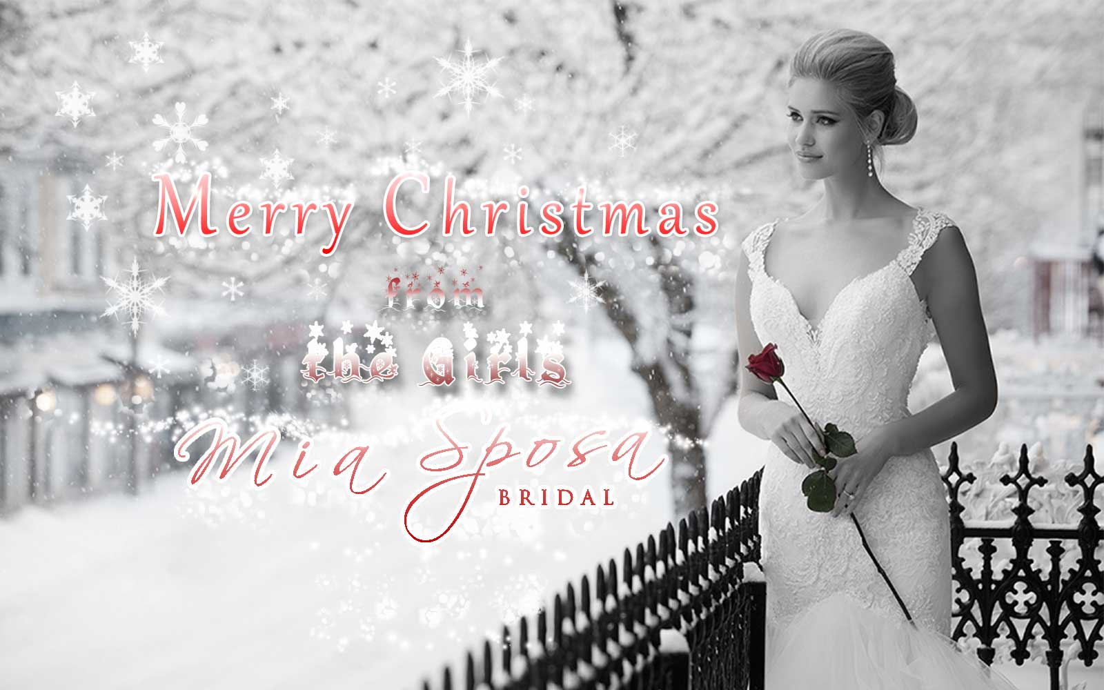 merry christmas mia sposa