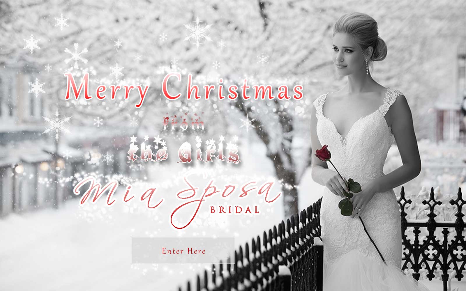 merry christmas from mia sposa